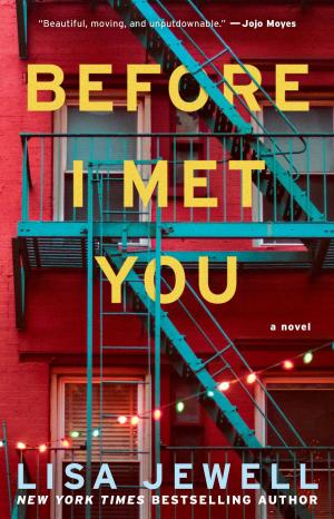 Cover of the book Before I Met You by Thomas Keneally, Meg Keneally
