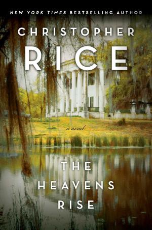 Cover of the book The Heavens Rise by Kim Kierkegaardashian