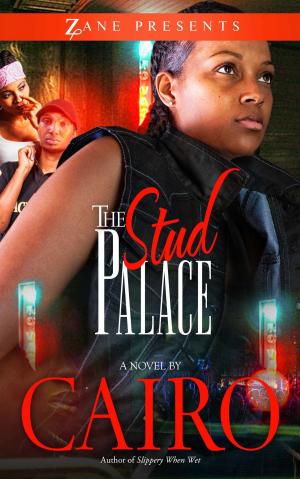 Cover of the book The Stud Palace by V. Anthony Rivers