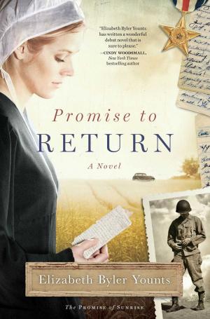 Cover of the book Promise to Return by Robin Jones Gunn