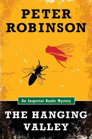 Cover of the book The Hanging Valley (An Inspector Banks Mystery) by Heather Rogers