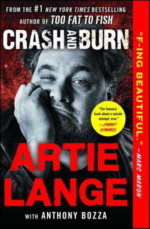 Cover of the book Crash and Burn by Kyra Sundance