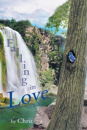 Cover of the book Falling in Love by Victor Johnson