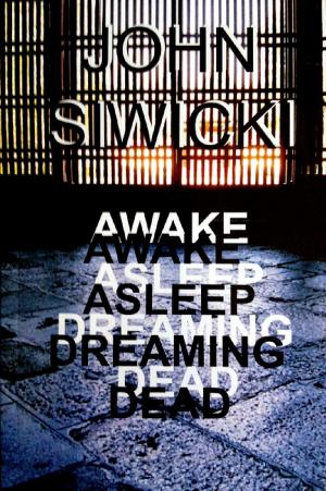 Cover of the book Awake Asleep Dreaming Dead by Christopher C. Page