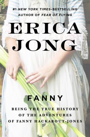 Cover of the book Fanny by Richard Tregaskis