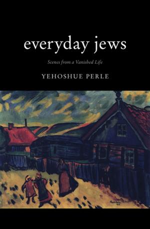 Book cover of Everyday Jews