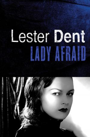 Book cover of Lady Afraid