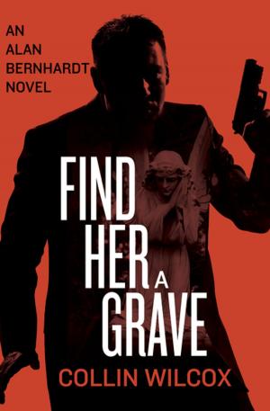 Cover of the book Find Her a Grave by Bradley Convissar