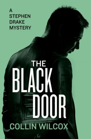 Cover of the book The Black Door by WK Warren