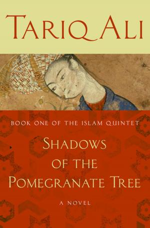 Book cover of Shadows of the Pomegranate Tree