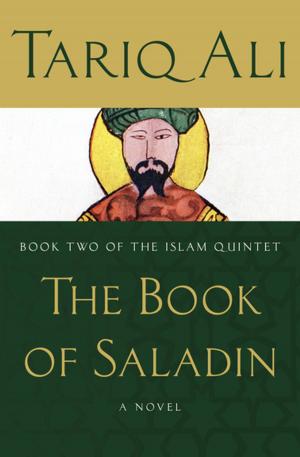 Cover of the book The Book of Saladin by Paul Monette