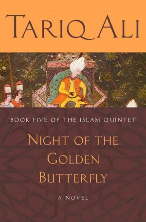 Book cover of Night of the Golden Butterfly