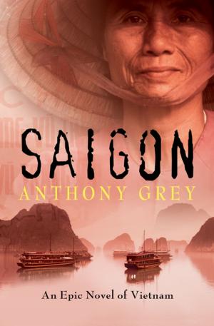 Cover of the book Saigon by Tamara Brigham