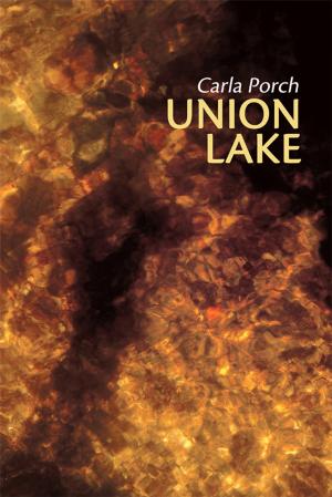 Cover of the book Union Lake by Nino Gugunishvili