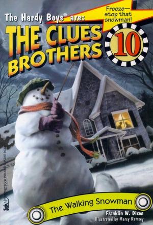 Cover of the book The Walking Snowman by J. D. Rinehart