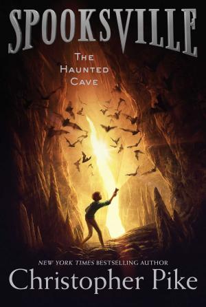 Cover of the book The Haunted Cave by Carolyn Keene