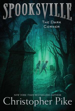 Cover of the book The Dark Corner by Franklin W. Dixon