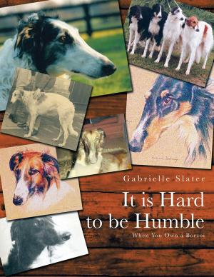 Cover of the book It Is Hard to Be Humble by K.Phelps