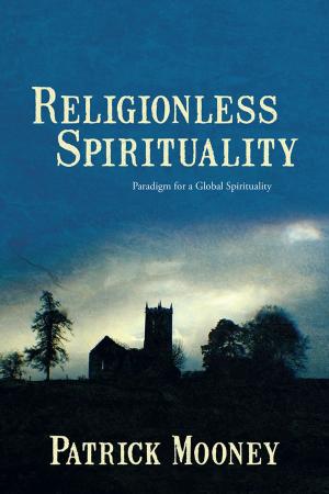 bigCover of the book Religionless Spirituality by 