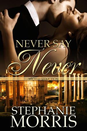 Cover of the book Never Say Never by Stephanie Morris