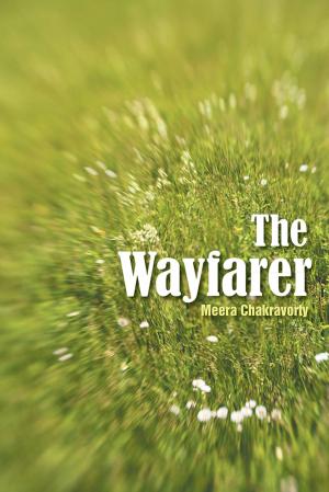 Cover of the book The Wayfarer by Sudeep Kr. Banerjee