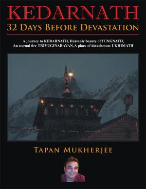 Cover of the book Kedarnath by Akhilesh Mehra