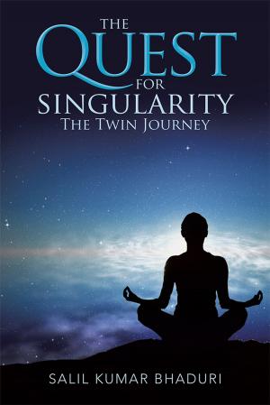 bigCover of the book The Quest for Singularity by 