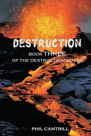 Cover of the book Destruction by Gordon Beckett