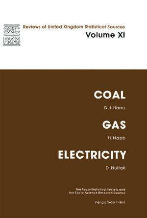 Cover of the book Coal, Gas and Electricity by Xiandong Liu, Gang Sheng Chen