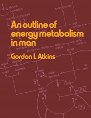 Cover of the book An Outline of Energy Metabolism in Man by Hans-Joachim Knolker