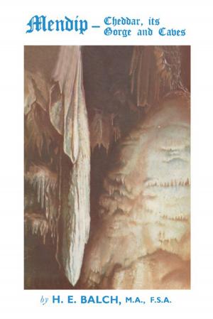 Cover of the book Mendip by Michael C. Pirrung