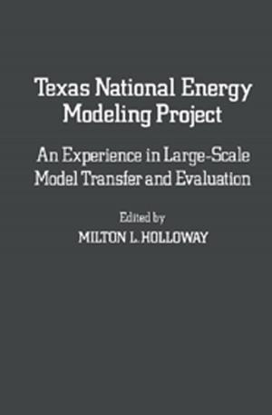 Cover of the book Texas National Energy Modeling Project by Adrian Liston