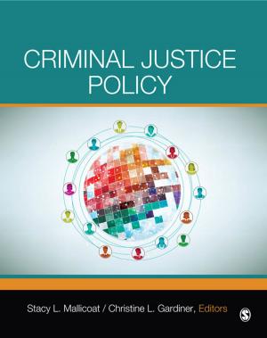 Cover of the book Criminal Justice Policy by Dr. Liliana Minaya-Rowe, Margarita Espino Calderon