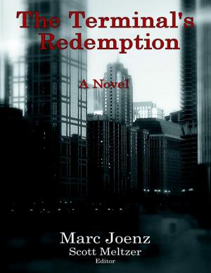 Book cover of The Terminal’s Redemption