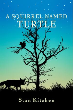 Cover of the book A Squirrel Named Turtle by Mark D. Pencil
