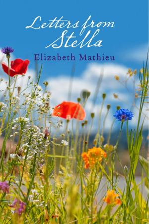 Cover of the book Letters from Stella by S.L. Block