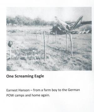Cover of the book One Screaming Eagle by Laxleyval Sagasta
