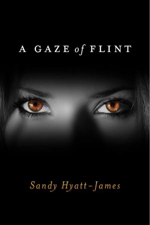 Cover of the book A Gaze Of Flint by Sonya Nemec