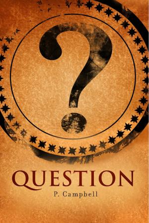 Cover of the book Question by Norman Jensen