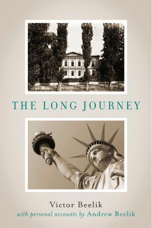 Cover of the book The Long Journey by Simonette Vaja