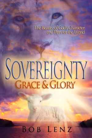 Cover of the book Sovereignty, Grace & Glory by Paul Stefaniak