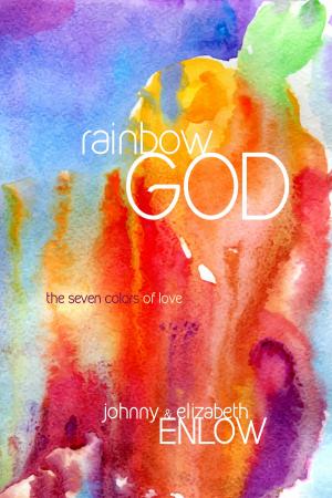 Cover of the book Rainbow God by Vince Barrington