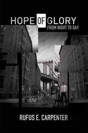 Cover of the book Hope of Glory by Rhonda Kay Hero