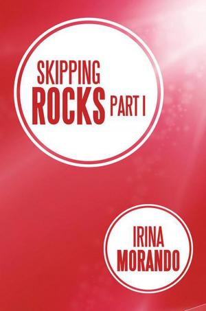 Cover of the book Skipping Rocks by Barbara L. Monahan
