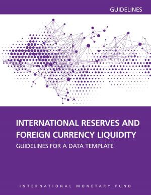 Cover of the book International Reserves and Foreign Currency Liquidity: Guidelines for a Data Template by Helge Berger, Giovanni Dell'Ariccia, Maurice Obstfeld