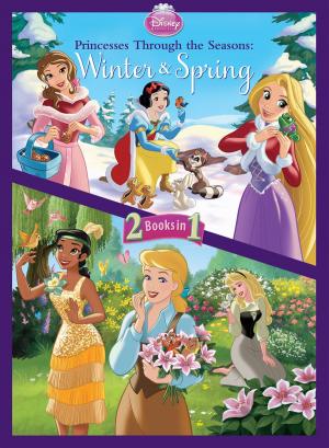 Book cover of Disney Princess: Princesses Through the Seasons