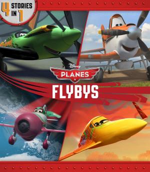 Cover of the book Planes Flybys by Lucy Ruggles