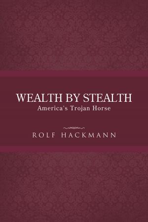 bigCover of the book Wealth by Stealth by 