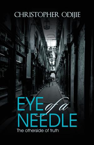 Cover of the book Eye of a Needle by Blake Parker