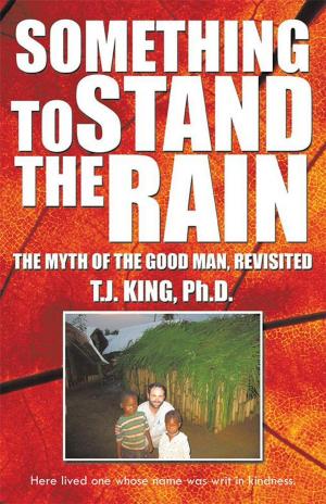 Cover of the book Something to Stand the Rain by Edmond Hartnett